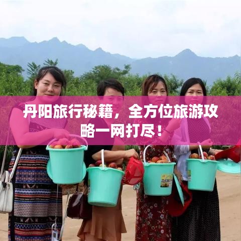 丹阳旅行秘籍，全方位旅游攻略一网打尽！