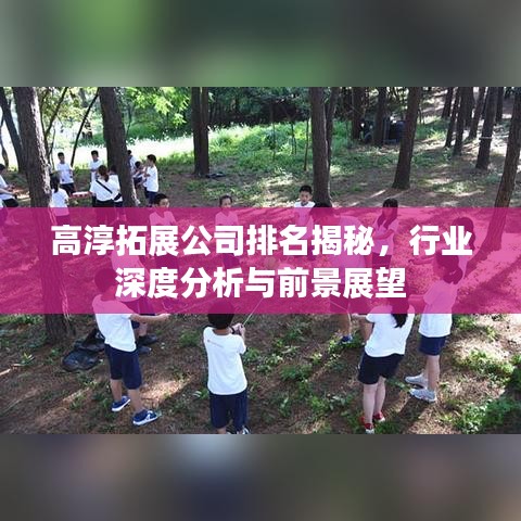 高淳拓展公司排名揭秘，行业深度分析与前景展望