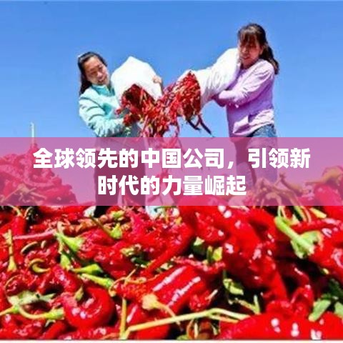 全球领先的中国公司，引领新时代的力量崛起