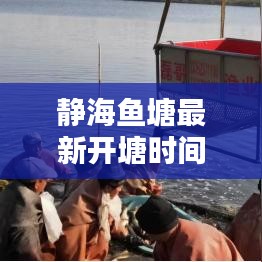百鸟争鸣