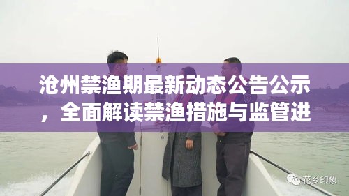 沧州禁渔期最新动态公告公示，全面解读禁渔措施与监管进展