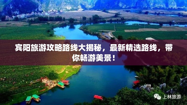一丝不苟