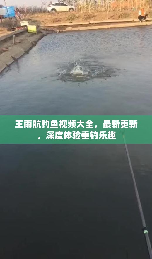 王雨航钓鱼视频大全，最新更新，深度体验垂钓乐趣
