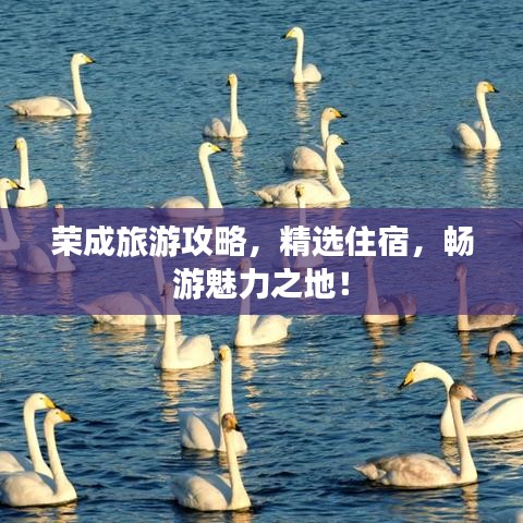 笃实好学