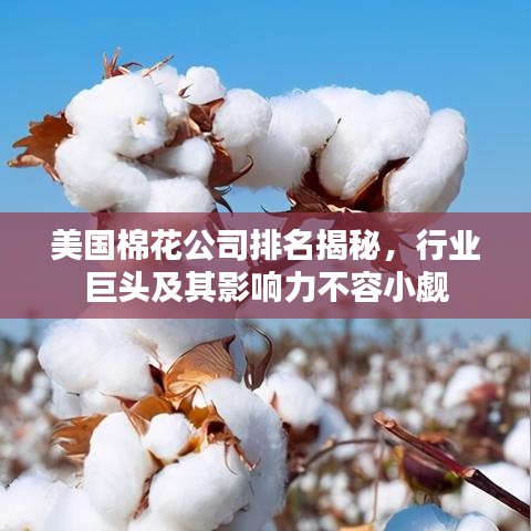 美国棉花公司排名揭秘，行业巨头及其影响力不容小觑