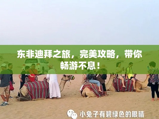 东非迪拜之旅，完美攻略，带你畅游不息！
