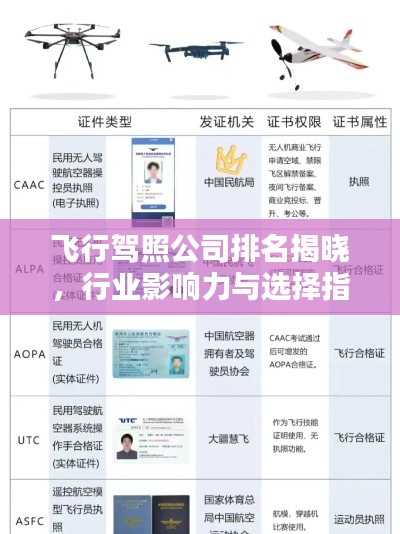 飞行驾照公司排名揭晓，行业影响力与选择指南