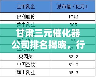 衣无二彩