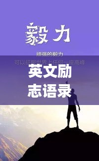 操作指南 第5页