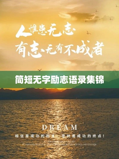 仪表堂堂