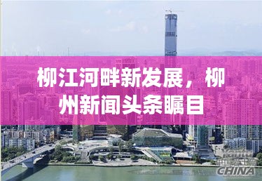 为民请命
