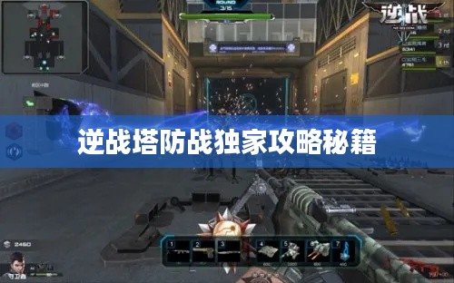倦鸟知还