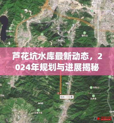 飞蛾扑火