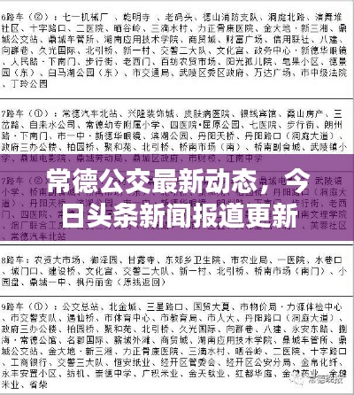 真独简贵