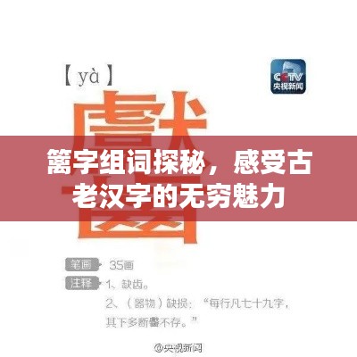 百鸟齐鸣