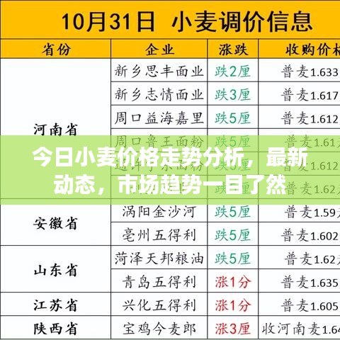 花香鸟语