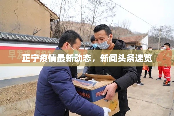乌鸟之情