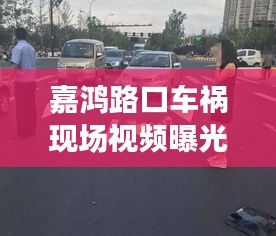 轻徙鸟举