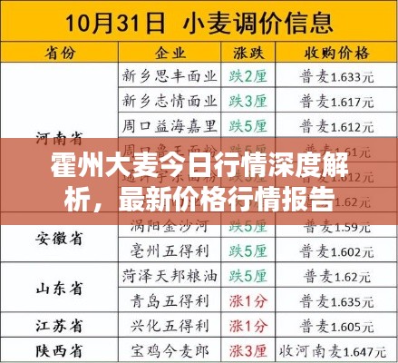 衣不曳地