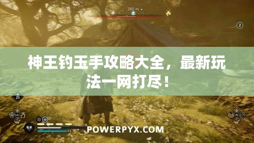 栖鸟于泉