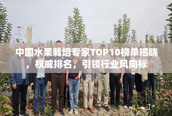 明目张胆