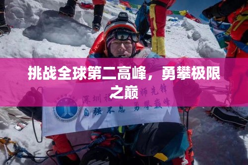 明夷于飞