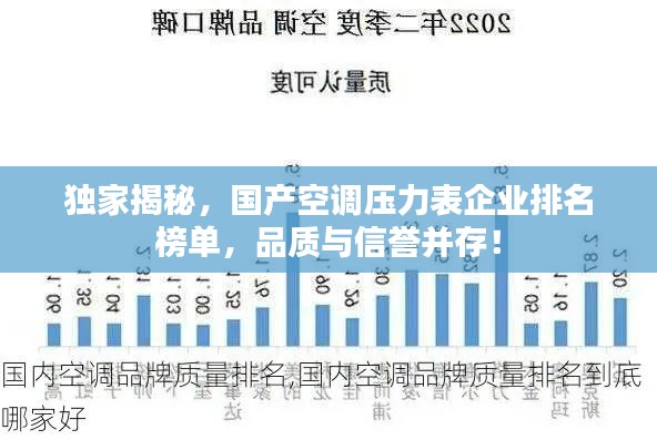 独家揭秘，国产空调压力表企业排名榜单，品质与信誉并存！