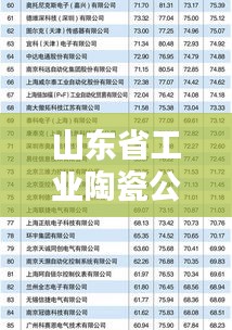 山东省工业陶瓷公司排行榜及行业影响力分析