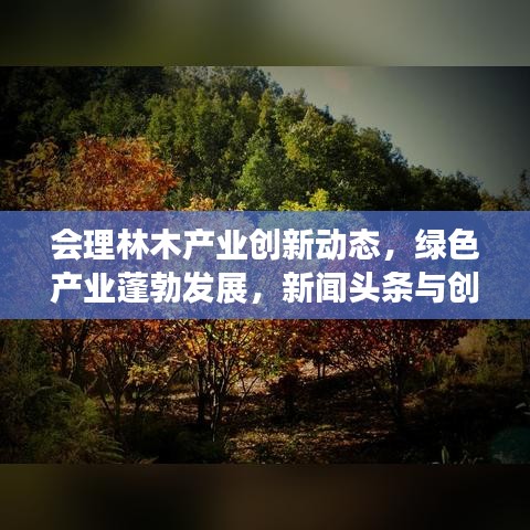 会理林木产业创新动态，绿色产业蓬勃发展，新闻头条与创新实践引领未来