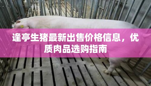 逢亭生猪最新出售价格信息，优质肉品选购指南