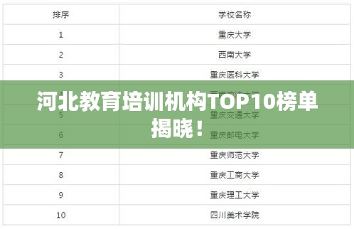 河北教育培训机构TOP10榜单揭晓！