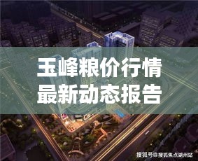 玉峰粮价行情最新动态报告揭秘