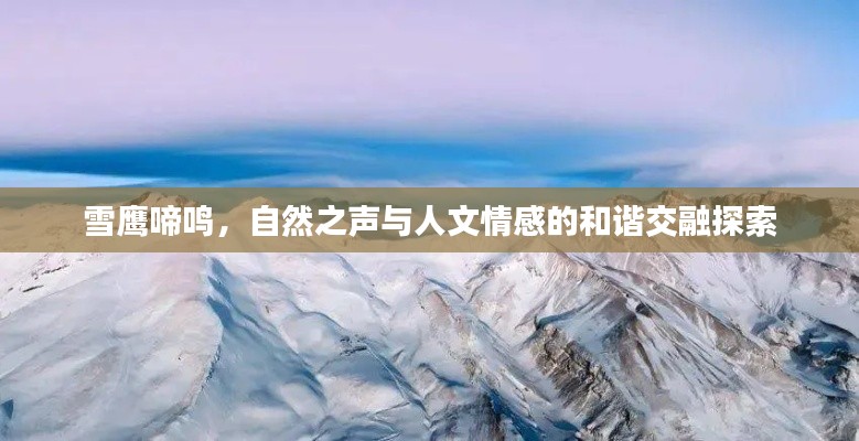 雪鹰啼鸣，自然之声与人文情感的和谐交融探索