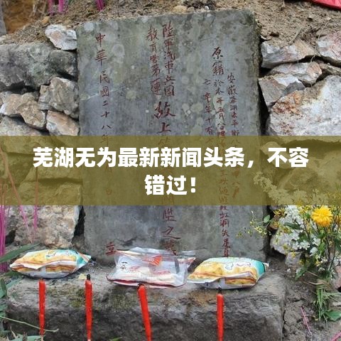 芜湖无为最新新闻头条，不容错过！
