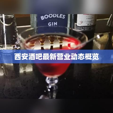 西安酒吧最新营业动态概览