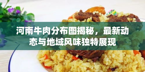 河南牛肉分布图揭秘，最新动态与地域风味独特展现