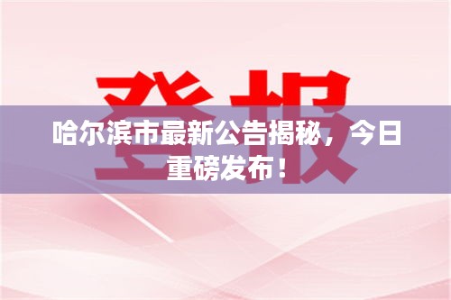 哈尔滨市最新公告揭秘，今日重磅发布！