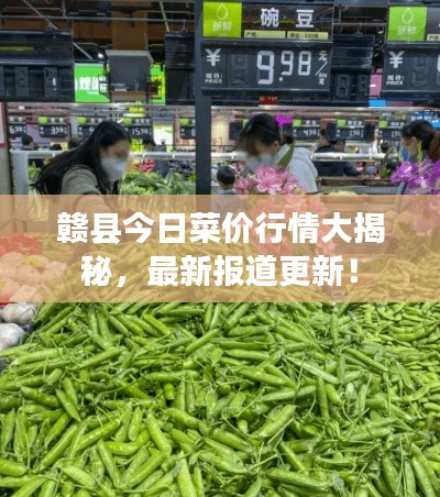 赣县今日菜价行情大揭秘，最新报道更新！
