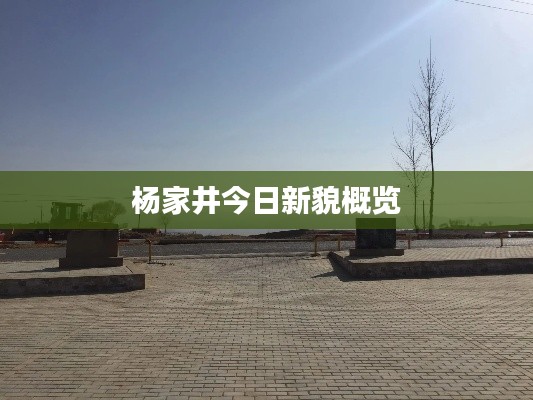 杨家井今日新貌概览