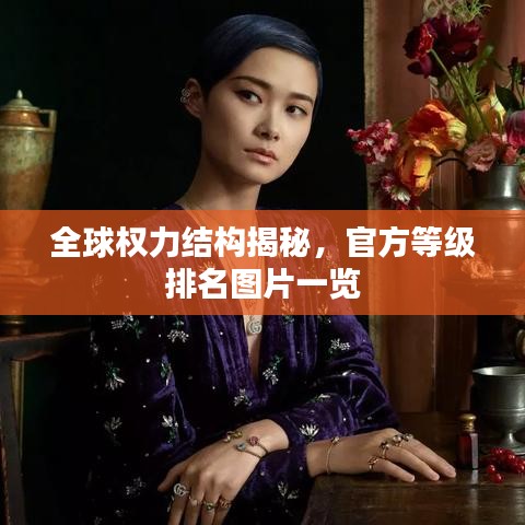全球权力结构揭秘，官方等级排名图片一览