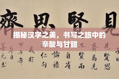 揭秘汉字之美，书写之旅中的辛酸与甘甜