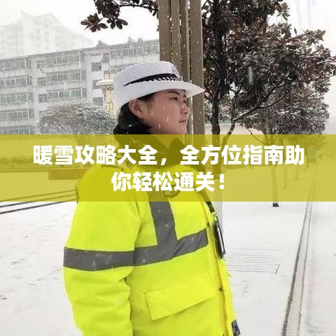 暖雪攻略大全，全方位指南助你轻松通关！