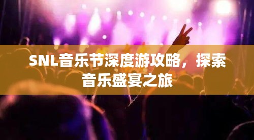 SNL音乐节深度游攻略，探索音乐盛宴之旅