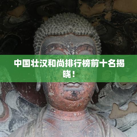 中国壮汉和尚排行榜前十名揭晓！
