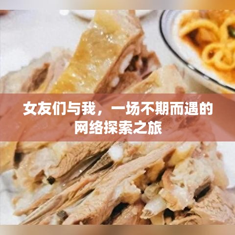 女友们与我，一场不期而遇的网络探索之旅
