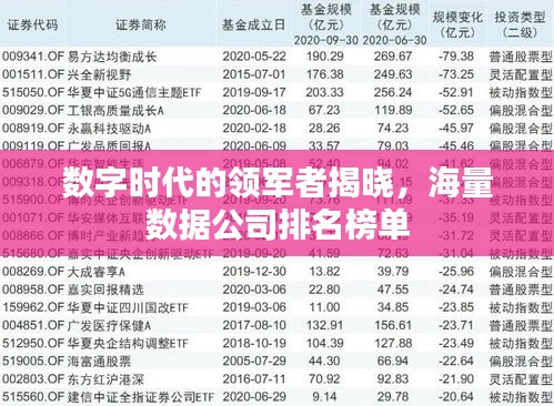 数字时代的领军者揭晓，海量数据公司排名榜单