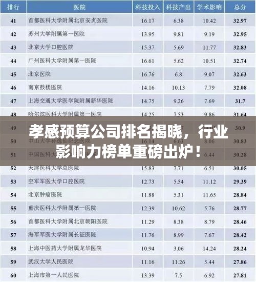 孝感预算公司排名揭晓，行业影响力榜单重磅出炉！