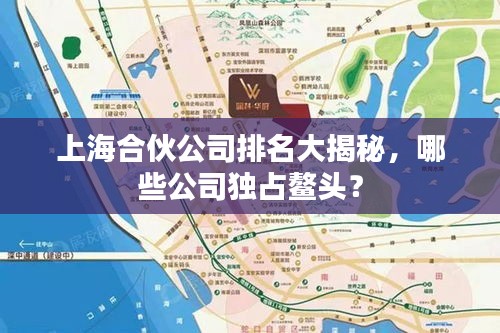 上海合伙公司排名大揭秘，哪些公司独占鳌头？